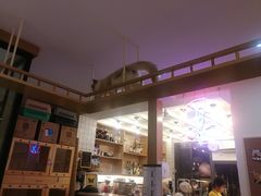 -滚猫咖啡·猫咖·猫友好撸猫(未来城店)