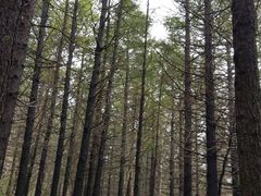 -白草畔自然风景区