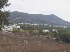 -香雪海