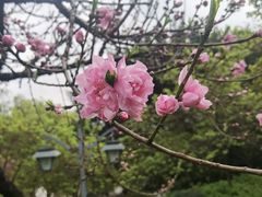 -乌山风景区
