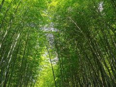 -苏州环秀晓筑养生度假村