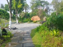 -东莞植物园