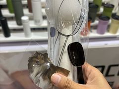 -上海跨国采购会展中心