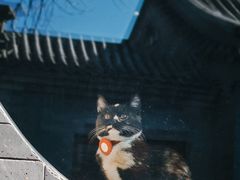 -古耳咖啡(北锣店)