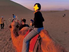 -银肯塔拉沙漠生态旅游景区
