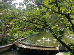 -上海瑞金洲际酒店