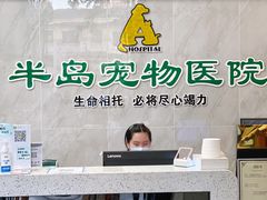 -半岛宠物医院24小时(科华中路店)