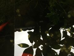 -白鹭原茶艺馆