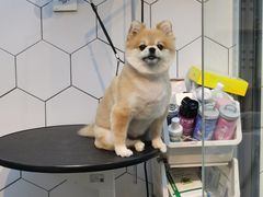 -萌兽医馆·眼科·异宠专科(三里屯店)