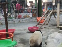 -栾川竹海野生动物园