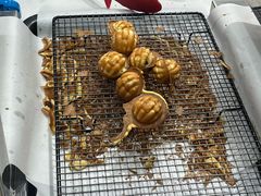-莫朗核桃饼(虹泉路店)