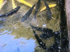 -何适山庄 ·可团建(水长城P2停车场店)