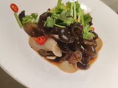 -新渝城·川菜·火锅(区庄店)