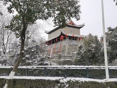 -武庄主特色炒鸡(周恩来纪念馆店)