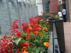 android_upload_pic-黔蘑菇四季餐厅(观山湖店)