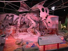 -正佳自然科学博物馆