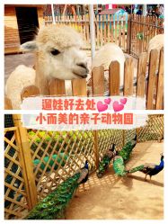 -萌宠亲子动物乐园(槐房万达店)