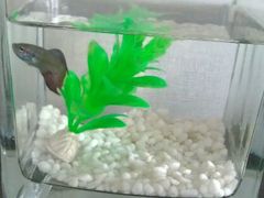 android_upload_pic-桔子酒店(天津五大道店)