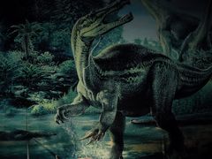 -中国地质博物馆