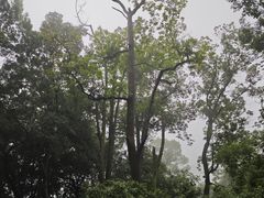 -广州市白云山风景名胜区