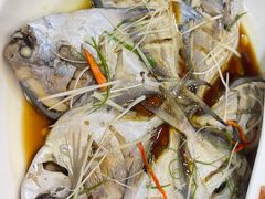 -正阳春鸭子楼(汉沽店)