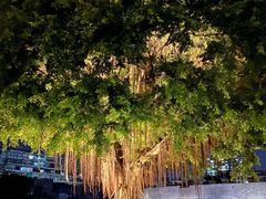 -石炮台公园
