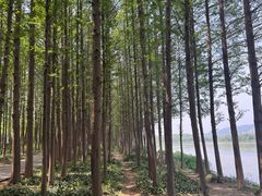 -云龙湖旅游景区