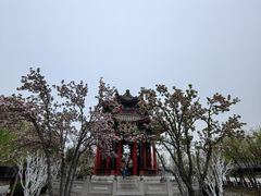 -济南大明湖景区