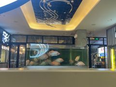 -蚝美人·生蚝海鲜烧烤(茶花园店)