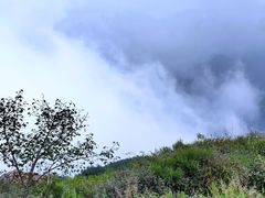 -阳台山自然风景区