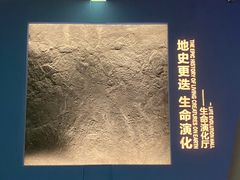 -湖南省地质博物馆