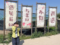 -西青郊野公园