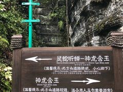 -梭布垭石林景区