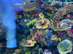 -成都浩海立方海洋公园