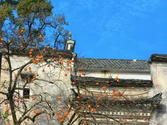 -塔川景区