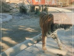 -荆州中山公园动物园