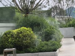 -朝阳公园游乐园