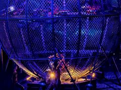 -水秀国际大剧院