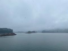-千岛湖天屿景区
