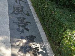 -迎泽公园