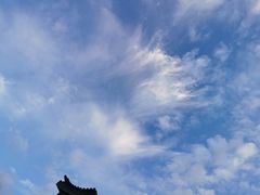 -旺顺阁海鲜广场(亚运村店)