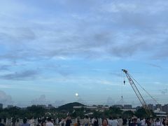 -宝安西湾红树林湿地公园