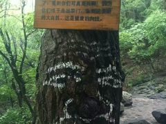 -野三坡百草畔景区