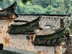 -杨家堂村