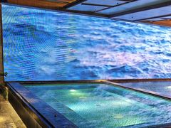 -浅深(北京北四环精品店)