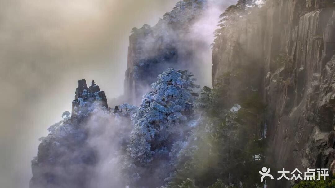 【博洋视线】 难忘黄山雪️ 云和雪都恋着这山峦