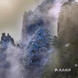 【博洋视线】 难忘黄山雪️ 云和雪都恋着这山峦