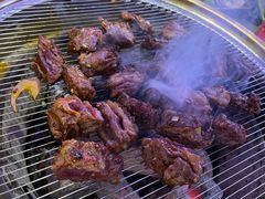 -杨小佳·齐齐哈尔烤肉·烤串(广州店)