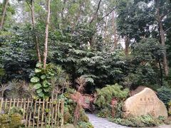 -深圳仙湖植物园