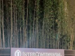 -深圳国际会展中心洲际酒店